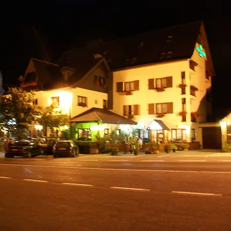 Hotel Edelweiss 2*